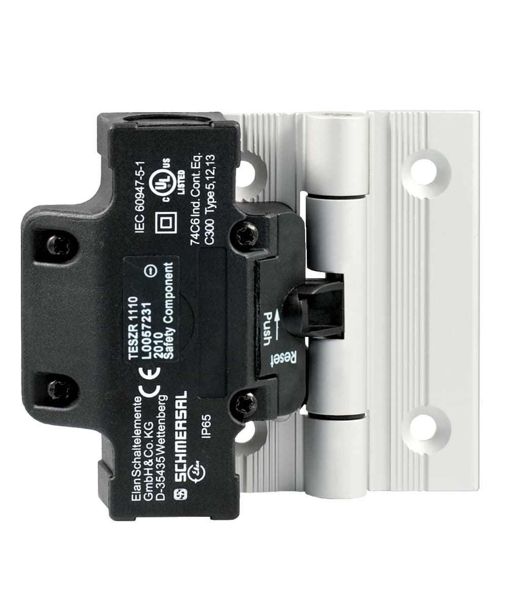 Schmersal TESZR1102/S TESZR1102/S  Schmersal - Hinged safety switch TESZR1102/S on Applied Automation