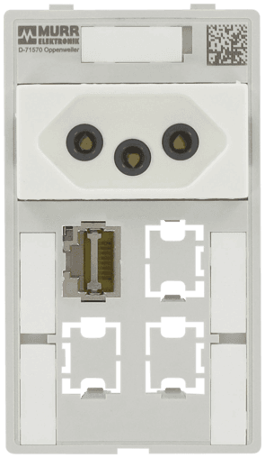 Murr Elektronik 4000-68000-4610001 4000-68000-4610001 Murrelektronik - MODLINK MSDD SINGLE COMBI INSERT BRAZIL, 1x RJ45 + 3x data cutout 4000-68000-4610001 on Applied Automation