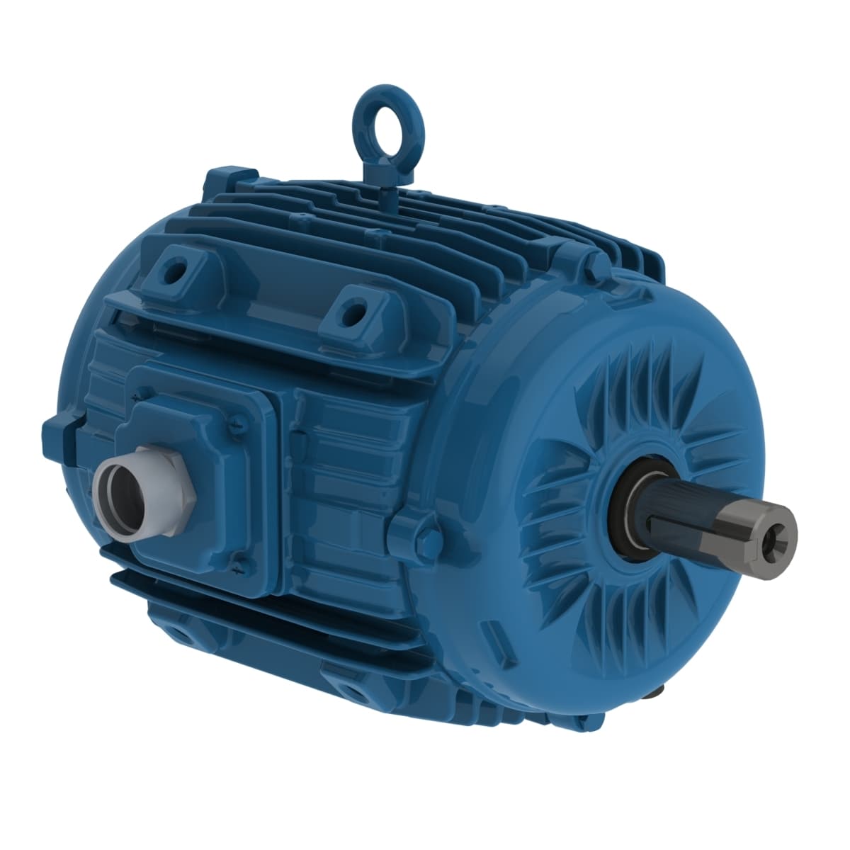 01536ET3EPM254/6Y-W2 on Applied Automation