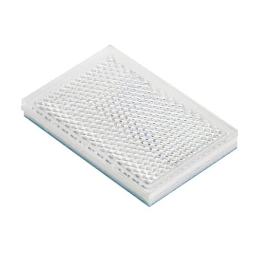 SensoPart 904-51588 904-51588 SENSOPART - , R3-2LK 904-51588 on Applied Automation